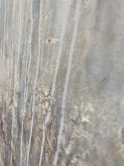  - Gabriela Aleksandra Szuba