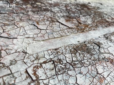  - Gabriela Aleksandra Szuba