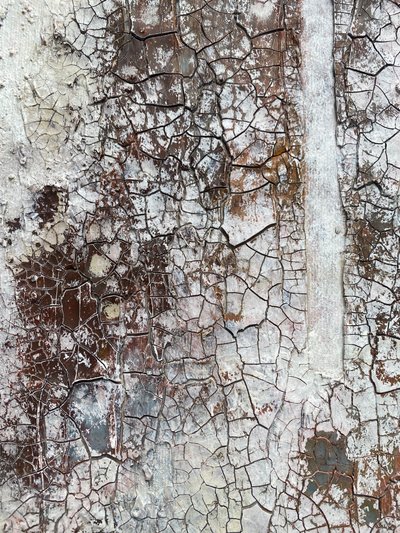  - Gabriela Aleksandra Szuba