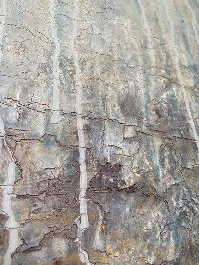  - Gabriela Aleksandra Szuba