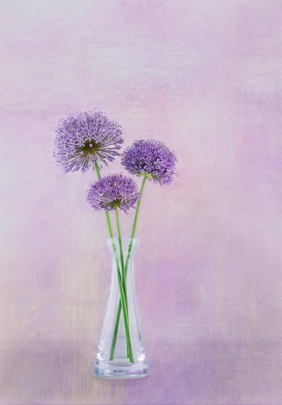  - Gaille Gray