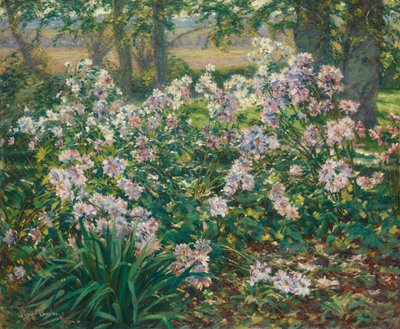 Anémones, 1912 - Gaines Ruger Donoho