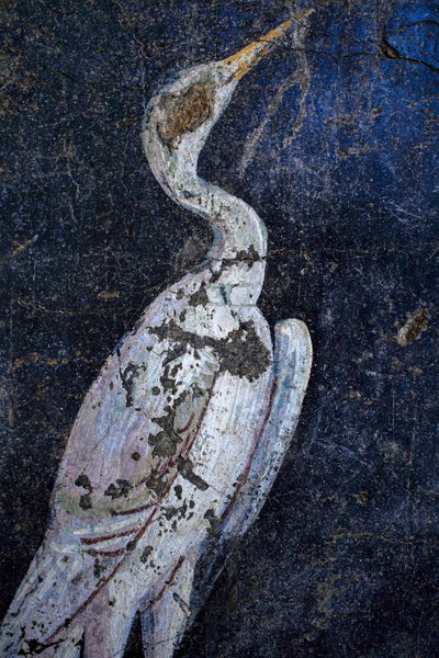 Peinture murale romaine - Gallo-Roman