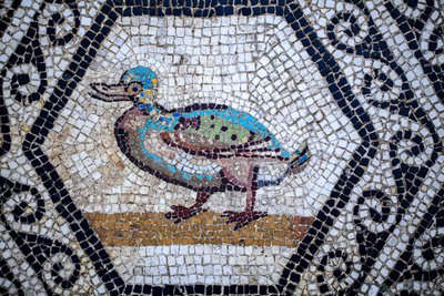 Mosaïque romaine - Gallo-Roman Gallo-Roman