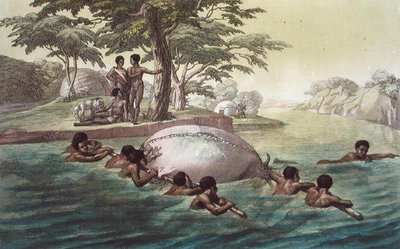Tribus Gingri traversant la rivière Zebee, planche 67 de 