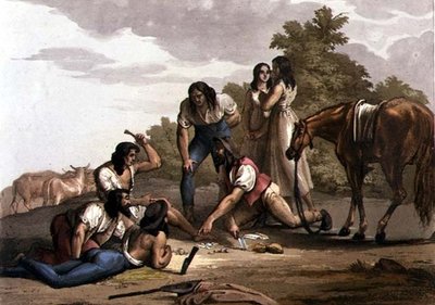 Bergers espagnols du Paraguay - Gallo Gallina