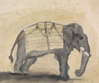 Éléphant - Gangaram Chintaman Tambat