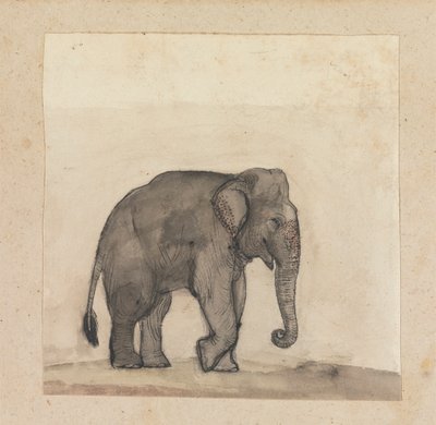 Éléphant - Gangaram Chintaman Tambat