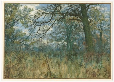 Arbres et sous-bois, 1885 - Garden William Fraser