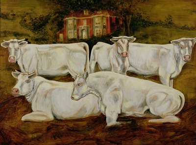 Taureaux Charolais, Dippenhall, Farnham - Gareth Lloyd Ball