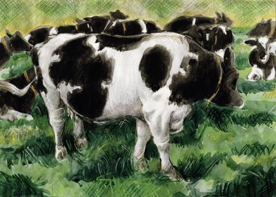 Vaches Frisonnes - Gareth Lloyd Ball