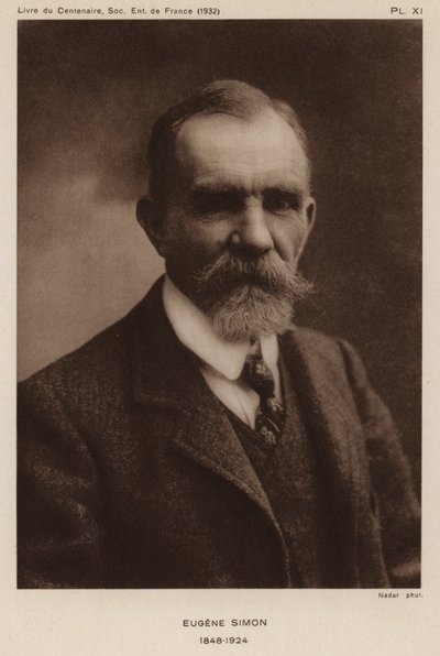 Eugène Simon, naturaliste, entomologiste et taxonomiste français des araignées (photo n/b) - Gaspard Felix Tournachon Nadar