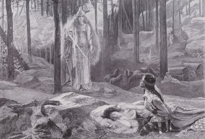 La Révélation (Brunnhilde découvrant Sieglinde et Siegmund) - Gaston Bussiere