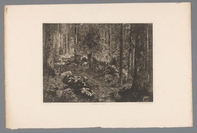 Paysage forestier (Les sapins du Doubs) - Gaston Coindre
