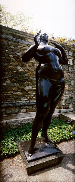 Femme debout (Élévation) - Gaston Lachaise