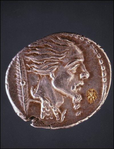 Profil présumé de Vercingétorix sur une pièce gauloise. Museo del Medagliere. Milan - Gaulish Gaulish