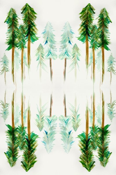 Forêt de pins en miroir - Gemma Bardot