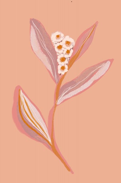 Fleurs de pêcher en pleine floraison - Gemma Bardot