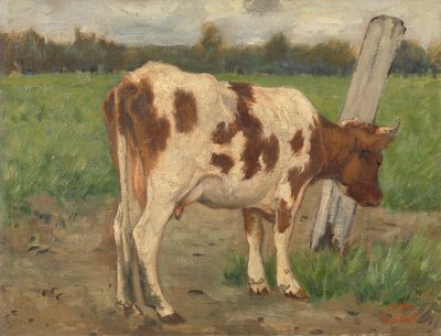 Vache - Geo Poggenbeek