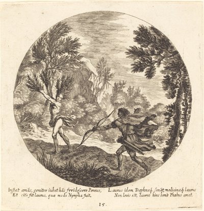 Daphné se transformant en laurier - Georg Andreas Wolfgang the Elder
