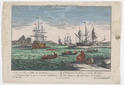 Vue de la recherche des baleines - Georg Balthasar Probst