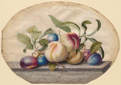Arrangement de fruits : pêches et prunes sur une dalle de marbre - Georg Dionysius Ehret