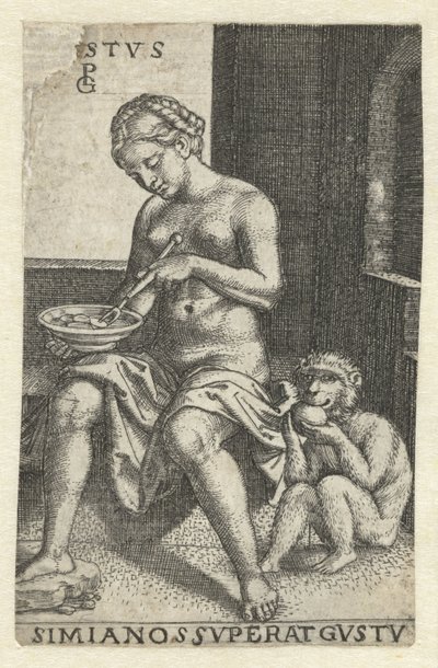 Smaak (Gustus) Gvstvs simia nos svperat gvstv (titre sur l