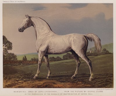 Nambrino, élevé par Lord Grosvenor, en possession du Marquis de Westminster, à Eaton Hall - George (after) Stubbs