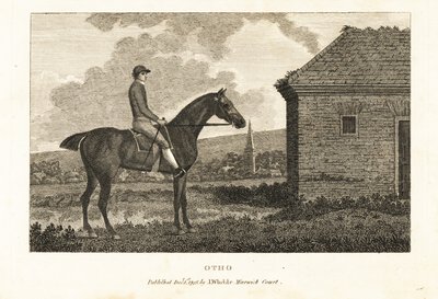 Portrait du cheval de course pur-sang Otho - George (after) Stubbs