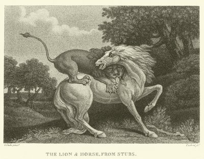 Le Lion et le Cheval, de Stubs - George (after) Stubbs