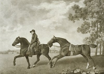Deux hacks, gravé par George Townley Stubbs - George (after) Stubbs