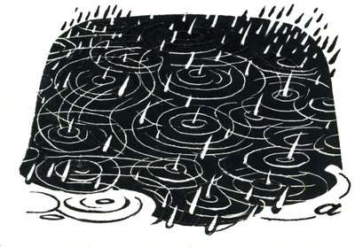 Design de flaque de pluie - George Adamson