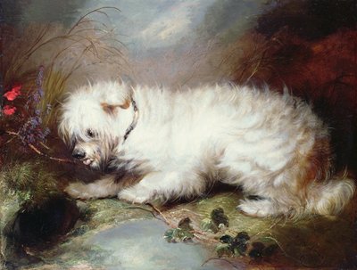 En surveillance, 1867 - George Armfield