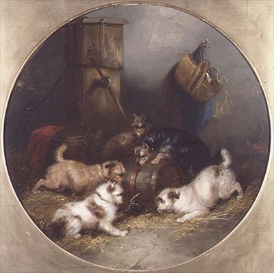 Terriers chassant les rats dans une grange - George Armfield