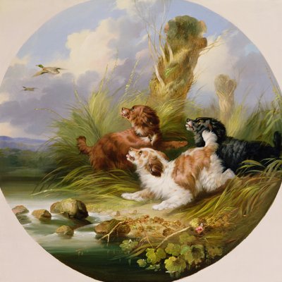 Trois épagneuls chassant le canard colvert - George Armfield