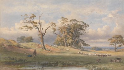 Ancien camp britannique dans le parc de Bulstrode - George Arthur Fripp