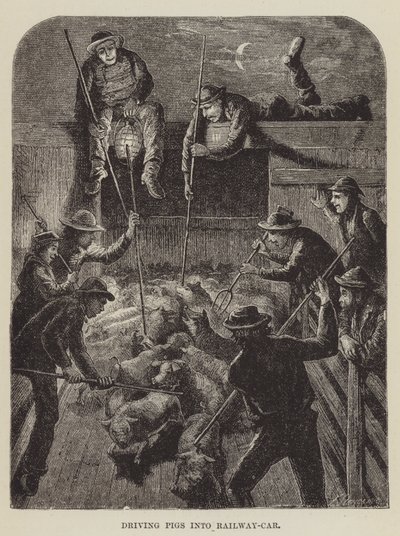 Conduire les porcs dans le wagon - George Augustus Sala