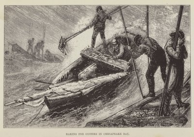 Ramassage des huîtres dans la baie de Chesapeake - George Augustus Sala