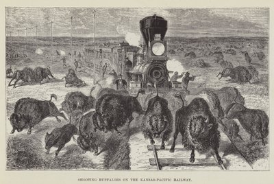 Chasse aux buffles sur le chemin de fer Kansas-Pacific - George Augustus Sala