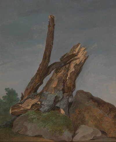 Étude de rochers et de branches - George Augustus Wallis