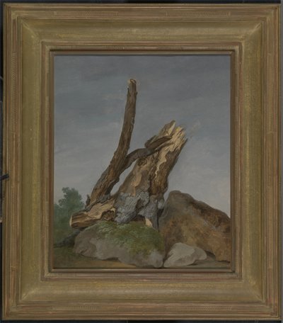 Étude de rochers et de branches, vers 1795 - George Augustus Wallis