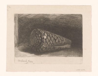 La coquille - George Bickham (II)