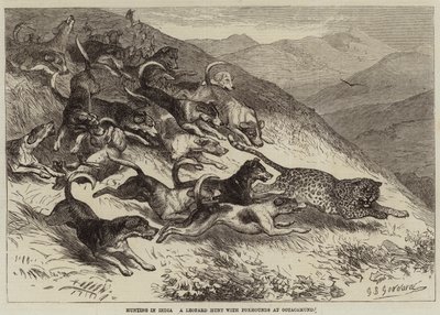 Chasse en Inde, une chasse au léopard avec des foxhounds à Ootacamund - George Bouverie Goddard
