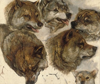 Études de têtes de huskies - George Bouverie Goddard