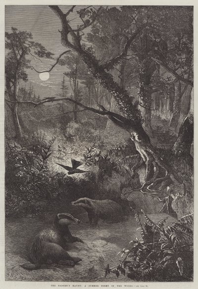 Le repaire du blaireau, une nuit d
