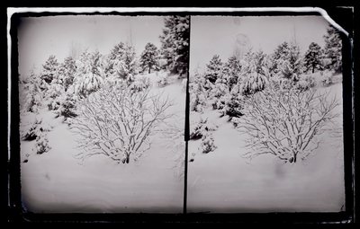 Parc Prospect, Brooklyn, vers 1872-87 - George Bradford Brainerd