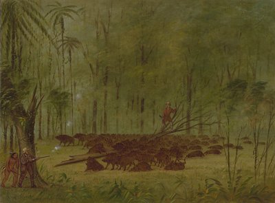Combat avec des pécaris - Caraïbes, 1854-1869 - George Catlin