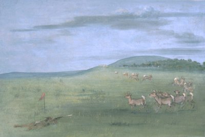 Tir de l