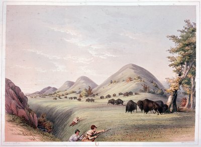 Chasse au bison - George Catlin