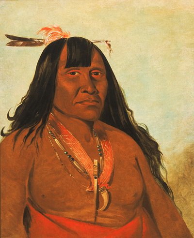 Bón-són-gee, Nouveau Feu, un chef de bande - George Catlin